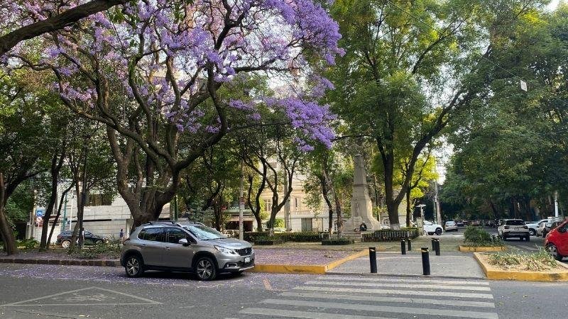 meksika dijital göçebelik mexico city